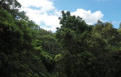CAM. LA VEGA, OROCOVIS, 00720