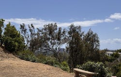1309 Laurel Way, Beverly Hills, CA 90210