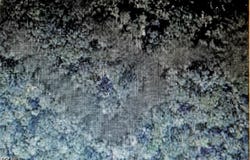 Fort Meade, FL 33841