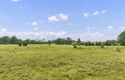 County Road 435, Tenaha, TX 75974