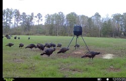Approx. 9500 US 80 W, Marion Junction, AL 36759