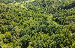 Taylor Road, Dennison, OH 44621