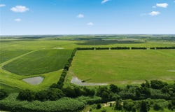 Tract 8 HCR 3204, Abbott, TX 76621