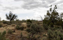 S Broadway Highway, Cortez, CO 81321