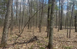 PINE BREEZE WAY lot: 5, Eagle River, WI 54521