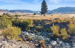 Smithneck Road, Loyalton, CA 96118
