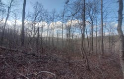 140 Brushy Creek rd, Mountain View, AR 72560