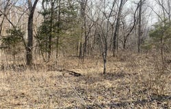 Ponder Slab Road, Iberia, MO 65486