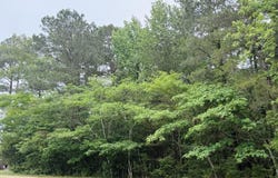 119 COVE VIEW ROAD, Grambling, LA 71245