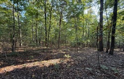 Stanfield Road, Poughkeepsie, AR 72466
