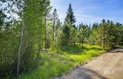 45 Joshua Drive, Cascade, ID 83611