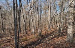 Belmont Circle, Monterey, TN 38574