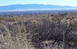 Erica Lane, Belen, NM 87002