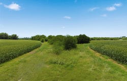 290 Hcr 3424 W, Malone, TX 76660