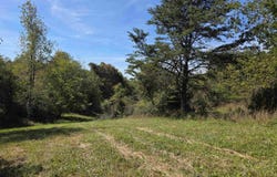 Ridge Road, Check, VA 24072