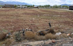 Highway 93, Challis, ID 83226