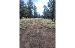 Lazo Ln, Dorris, CA 96023