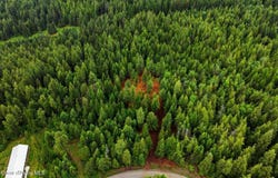 NNA Cedar Ridge, Dover, ID 83825