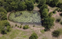 8593 Mclain Loop, Parks, AR 72950