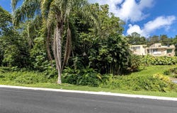 Hato Nuevo, Guaynabo, PR 00971