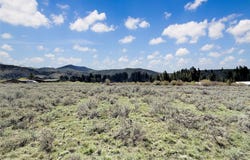 Clark Creek RD lot: 10, Polaris, MT 59746