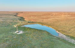 First Creek Ranch, Booker, TX 79005
