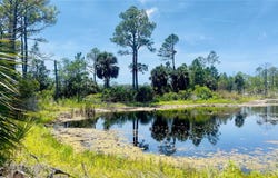 SW 101ST LN, CEDAR KEY, FL 32625