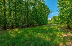 Deep Woods Road, Sewanee, TN 37375
