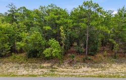 7071 CLEMSON Street, Keystone Heights, FL 32656