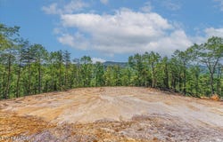 1200 Steer Creek Rd, Tellico Plains, TN 37385