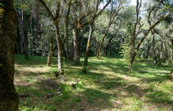 35000 Robinson Canyon RD, carmel, CA 93923