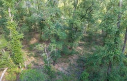 246TH ST, OBrien, FL 32071