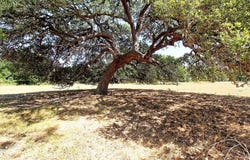 County Road 245, Weimar, TX 78962