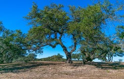 N US Hwy 281, Blanco, TX 78606