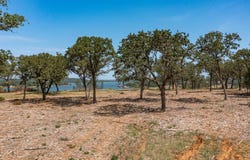Choate lot: 11, Bowie, TX 76230