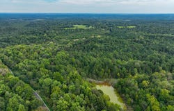 3095 Niles Road, Dawson Springs, KY 42408