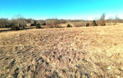 Dolphin, Ethel, MO 63539