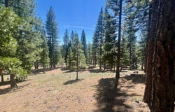 69867 Woodside Drive, Blairsden, CA 96103