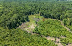 Gunshoot Rd, Steens, MS 39766