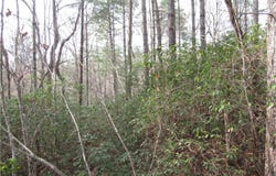 213 Falcon Crest Way, Pickens, SC 29671