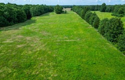 10175 Doe Run Road, Phillipsburg, MO 65722