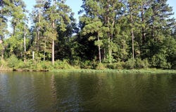 77 CHEROKEE RD., Sparta, GA 31061