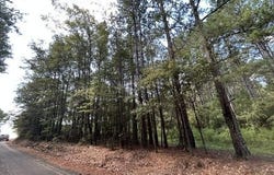 Irene Road, Summit, MS 39666