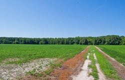 2 Nc Highway 33, Tarboro, NC 27886