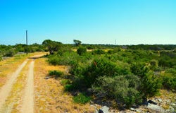 Other, Leakey, TX 78873