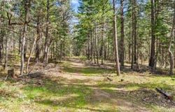 Paradise Ridge Rd, Mosier, OR 97040