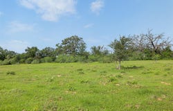 County Road 459, Thorndale, TX 76577