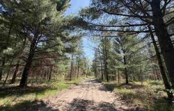 US-10, IDLEWILD, MI 49642