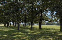 Springs Road, Valley View, TX 76272