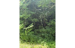 middle branch, McDowell, KY 41647